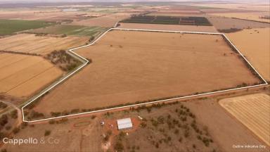 Other (Rural) For Sale - NSW - Myall Park - 2681 - ENTRY-LEVEL BROAD ACRE ALLOTMENT  (Image 2)
