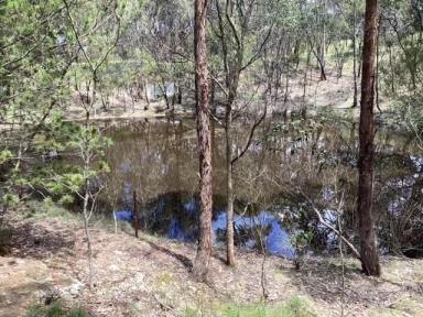 Lifestyle For Sale - VIC - Haddon - 3351 - 2.05ha (approx. 5 acres) Private Homesite; Fenced; Dam; Scattered Trees; Town Water.  (Image 2)