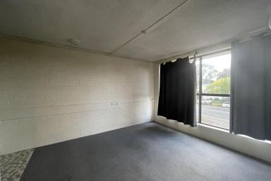 Unit For Sale - NSW - Grafton - 2460 - Set and Forget  (Image 2)