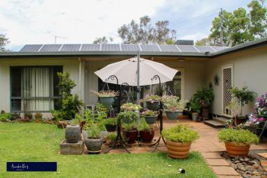 Other (Rural) Sold - NSW - Inverell - 2360 - Country Lifestyle is set on arrival!  (Image 2)