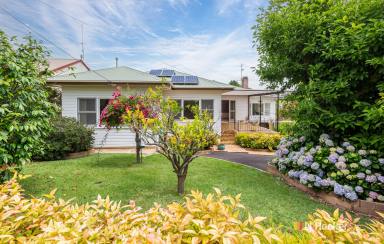 House Sold - NSW - Bega - 2550 - CHARMING WEATHERBOARD HOME, BEGA  (Image 2)