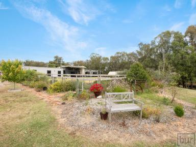 Acreage/Semi-rural Sold - VIC - Wahgunyah - 3687 - Beautiful Lifestyle Property in Historic Winegrowing Country  (Image 2)