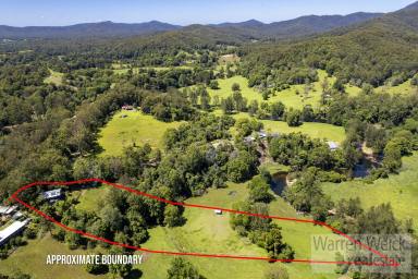 Acreage/Semi-rural For Sale - NSW - Bellingen - 2454 - Stunning Mountain views, acreage with river and close town  (Image 2)