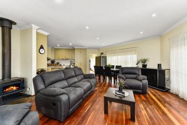 House Sold - SA - Penola - 5277 - Discover an Exquisite Home Surrounded by Serene Greenery in Penola  (Image 2)