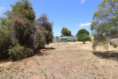 Residential Block For Sale - WA - Wagin - 6315 - Invest or Build  (Image 2)