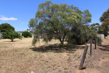 Residential Block For Sale - WA - Wagin - 6315 - Invest or Build  (Image 2)