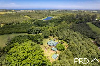 House For Sale - NSW - Brooklet - 2479 - It's all about location, location, location!  (Image 2)