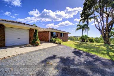 House Sold - NSW - Hallidays Point - 2430 - PERFECT POSITION AT BOMBORA PLACE!  (Image 2)