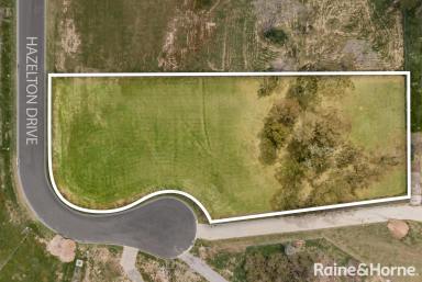 Residential Block For Sale - NSW - Moss Vale - 2577 - Dream Lot, Dream Location, Dream Price!  (Image 2)