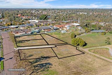 Residential Block Sold - NSW - Raymond Terrace - 2324 - LARGE VACANT LOT FOR SALE - BINNS STREET BEAUTY!  (Image 2)