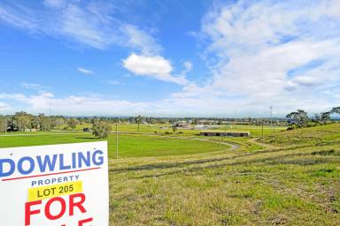 Residential Block For Sale - NSW - Raymond Terrace - 2324 - JUST 3 LOTS REMAINING IN ROSLYN PARK ESTATE!  (Image 2)