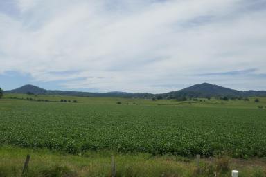 Mixed Farming For Sale - NSW - Kyogle - 2474 - CEDAR POINT - KYOGLE  (Image 2)