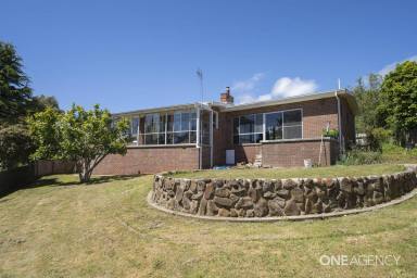House For Sale - TAS - Park Grove - 7320 - Enviable Location, Incredible Opportunity!  (Image 2)