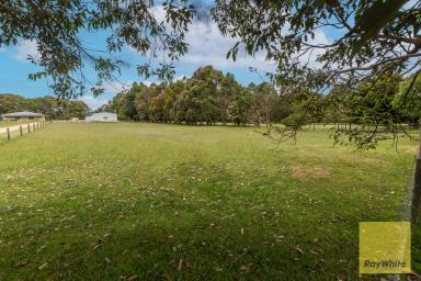 Residential Block Sold - VIC - Toora - 3962 - LARGE BLOCK IN GREAT LOCATION  (Image 2)