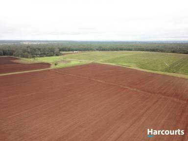 Cropping For Sale - QLD - Bullyard - 4671 - PRICE REDUCTION!! Large red soil property with heaps of water - 126.5 hectares (312.5 acres)  (Image 2)