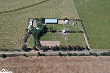 Farmlet For Sale - VIC - Giffard West - 3851 - COTTONWOOD GROVE STABLES  (Image 2)