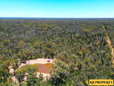 Lifestyle Sold - NSW - Jacks Creek - 2390 - 395 ACRES DOWN AMONGST THE GUM TREES  (Image 2)