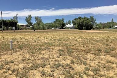Residential Block Sold - QLD - Longreach - 4730 - 3364 sqm in two lots  (Image 2)