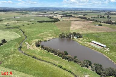 Livestock For Sale - VIC - Birregurra - 3242 - FOUR SUPERB HIGHLY DESIRABLE BIRREGURRA PROPERTIES  (Image 2)