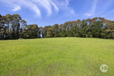 Acreage/Semi-rural Sold - VIC - Red Hill South - 3937 - Two Rare 10 Acre lots To Build The Dream!  (Image 2)