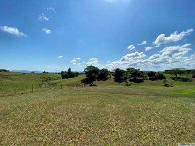 Residential Block Sold - QLD - Pin Gin Hill - 4860 - BUILD YOUR DREAM HOME HERE  (Image 2)