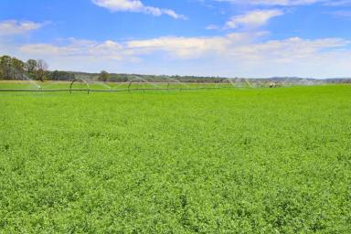 Mixed Farming For Sale - QLD - Monto - 4630 - Irrigation, Cropping and Grazing  (Image 2)