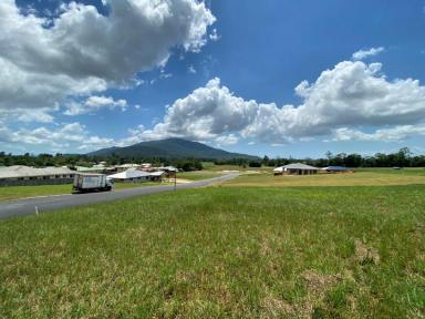 Residential Block For Sale - QLD - Tully - 4854 - BUILD YOUR DREAM HOME CLOSE TO TOWN  (Image 2)