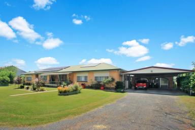 Other (Rural) For Sale - NSW - Alumy Creek - 2460 - A rare opportunity has arisen!  (Image 2)