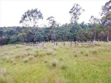 Other (Rural) Sold - NSW - Bombala - 2632 - "Connaughtman's Creek" 150 Acres  (Image 2)
