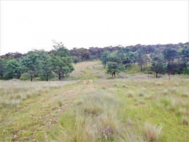 Other (Rural) Sold - NSW - Bombala - 2632 - "Connaughtman's Creek" 150 Acres  (Image 2)