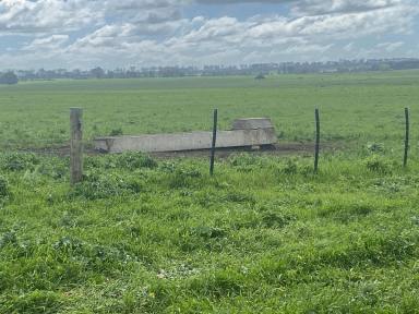 Other (Rural) For Sale - VIC - Wallacedale - 3303 - PRODUCTIVE WALLACEDALE DISTRICT LAND  (Image 2)