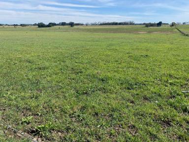 Other (Rural) For Sale - VIC - Wallacedale - 3303 - PRODUCTIVE WALLACEDALE DISTRICT LAND  (Image 2)