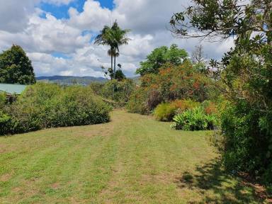 Residential Block Sold - NSW - Kyogle - 2474 - PRICE REDUCED TO SELL  (Image 2)