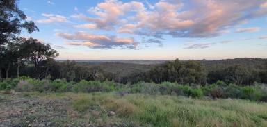 Lifestyle Sold - NSW - Bevendale - 2581 - 294 ACRES, DWELLING ENTITLEMENT TO BUILD YOUR DREAM HOME, LIFESTYLE & RECREATIONAL PROPERTY, ROAD FRONT, MAGNIFICENT VIEWS, ABUNDANT WILDLIFE.  (Image 2)