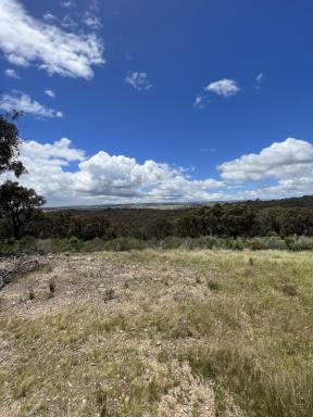 Lifestyle Sold - NSW - Bevendale - 2581 - 294 ACRES, DWELLING ENTITLEMENT TO BUILD YOUR DREAM HOME, LIFESTYLE & RECREATIONAL PROPERTY, ROAD FRONT, MAGNIFICENT VIEWS, ABUNDANT WILDLIFE.  (Image 2)