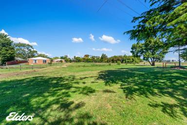 Residential Block For Sale - VIC - Yarram - 3971 - LARGE 2365m2 RESIDENTIAL BLOCK WITH PLENTY OF SCOPE!  (Image 2)