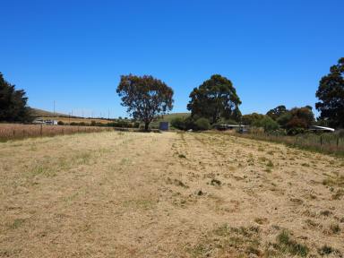 Residential Block For Sale - VIC - Waubra - 3352 - 4035M2 (0.99 Acres) Affordable Allotment With Possibilities and Potential  (Image 2)
