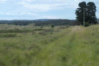 Lifestyle For Sale - NSW - Tenterfield - 2372 - DEVELOPER / INVESTOR ?  (Image 2)