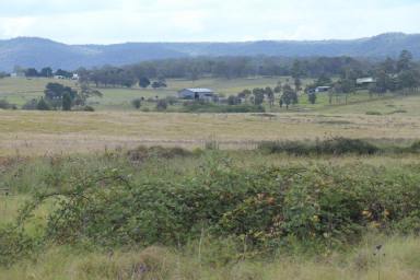 Lifestyle For Sale - NSW - Tenterfield - 2372 - DEVELOPER / INVESTOR ?  (Image 2)