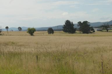 Lifestyle For Sale - NSW - Tenterfield - 2372 - DEVELOPER / INVESTOR ?  (Image 2)