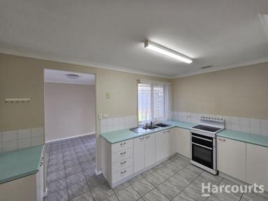 House Leased - QLD - Abington - 4660 - Wonderful 3 Bedroom family Home  with Pineapple Views!  (Image 2)