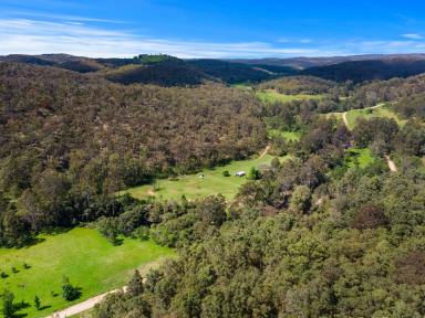 Acreage/Semi-rural For Sale - NSW - Putty - 2330 - Putty adventure haven  (Image 2)