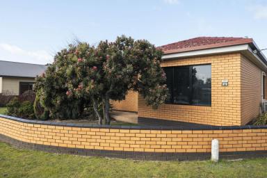 House For Lease - TAS - Wynyard - 7325 - Family Home in Quiet Neighbourhood.  (Image 2)