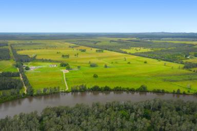 Acreage/Semi-rural Sold - NSW - Limeburners Creek - 2444 - Idyllic Rural Setting-Cosy Cottage on 320 Acres of Prime Farming Land  (Image 2)