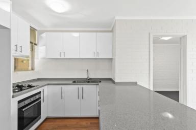 Apartment For Sale - WA - Wembley - 6014 - EOI - MODERN | RENOVATED| 1Bedroom| IN SOUGHT AFTER LOCATION  (Image 2)