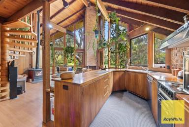 House For Sale - VIC - Sandy Point - 3959 - "The Smiths" - A Stunning Architectural Chalet, Perfectly Positioned  (Image 2)