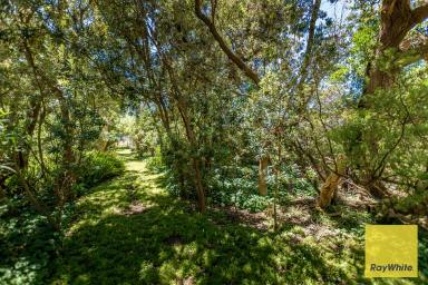 Residential Block For Sale - VIC - Sandy Point - 3959 - THE BANKSIA FOREST  (Image 2)