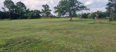 Acreage/Semi-rural For Lease - NSW - Llandilo - 2747 - FARMLAND 4 LEASE Vegi & LIVESTOCK Farming CARAVAN Heavy Machinery Parking  (Image 2)