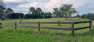 Acreage/Semi-rural For Lease - NSW - Llandilo - 2747 - FARMLAND 4 LEASE Vegi & LIVESTOCK Farming CARAVAN Heavy Machinery Parking  (Image 2)