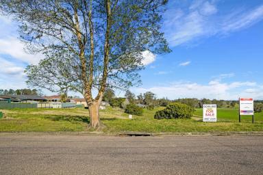 Residential Block For Sale - NSW - Raymond Terrace - 2324 - JUST 4 LOTS AVAILABLE  - ROSLYN PARK ESTATE!  (Image 2)